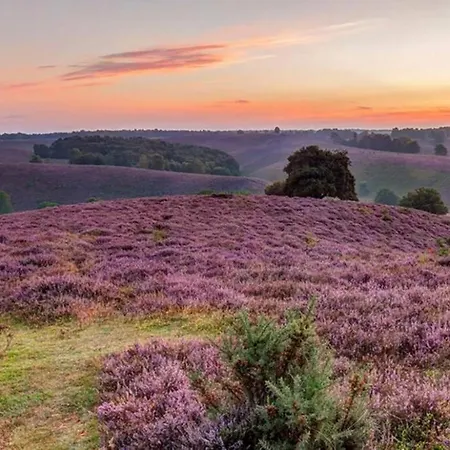 Hotel La Casita Blanca