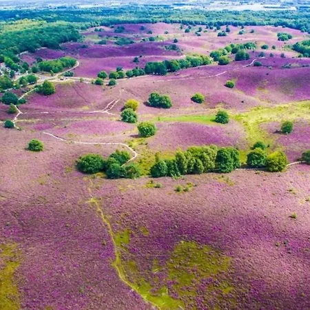 La Casita Blanca Lathum