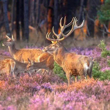 Hotel La Casita Blanca