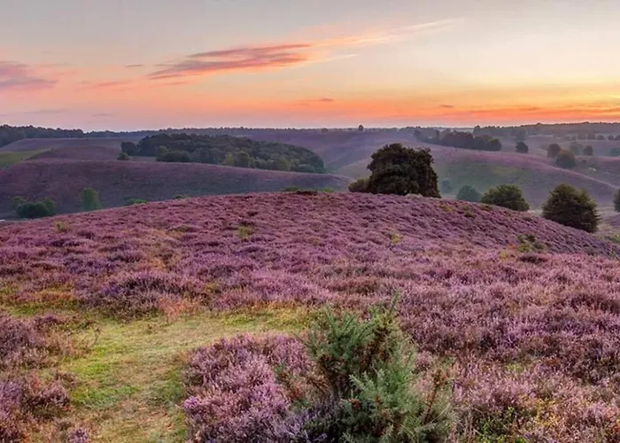 Hotell La Casita Blanca