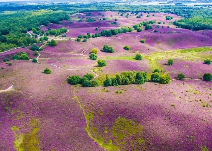 La Casita Blanca Lathum